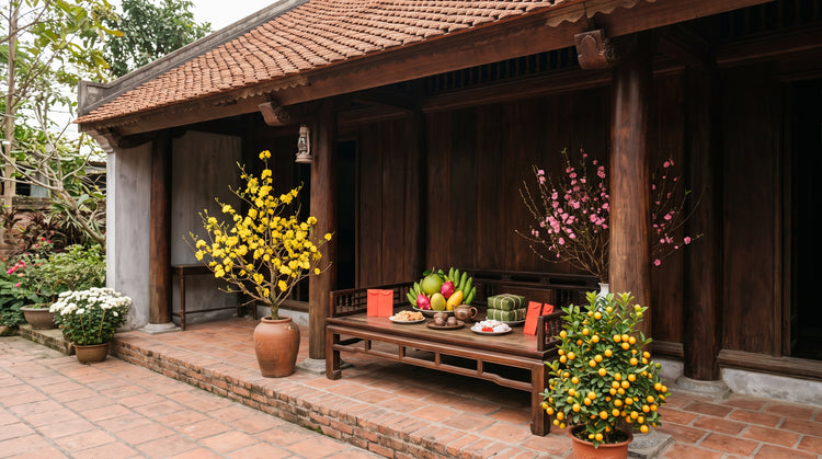 Tết Nguyên Đán